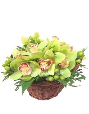 cestino orchidea