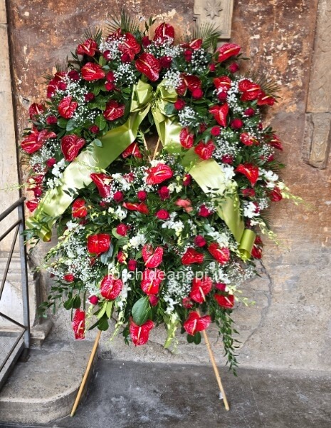 corona anturium,rose